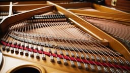 C. Bechstein ou Bechstein : quelle différence entre les deux marques ?